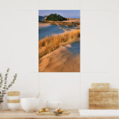 Landschap van Oregon-zandduinen Poster (Keuken)