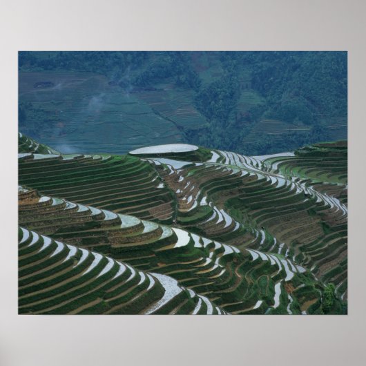 Landschap van rijstterrassen in de berg, 2 poster (Voorkant)