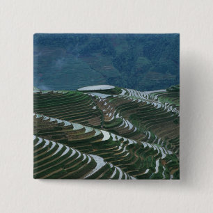 Landschap van rijstterrassen in de berg, 2 vierkante button 5,1 cm