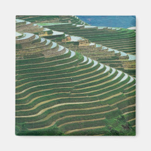 Landschap van rijstterrassen in de berg, 3 magneet