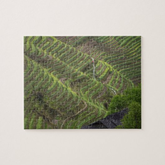 Landschap van rijstterrassen in de berg, legpuzzel (Horizontaal)