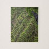 Landschap van rijstterrassen in de berg, legpuzzel (Verticaal)