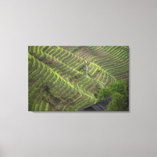 Landschap van rijstterrassen in de bergen, canvas afdruk