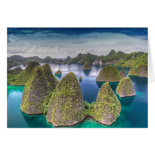 Landschap van Wayag-eiland, Indonesië (Voorkant Horizontaal)