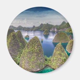 Landschap van Wayag-eiland, Indonesië Magneet