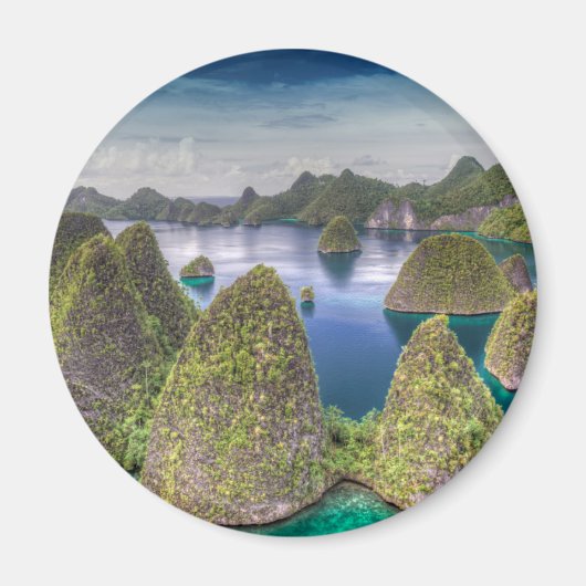 Landschap van Wayag-eiland, Indonesië Magneet (Voorkant)