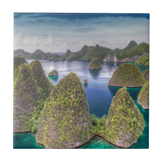 Landschap van Wayag-eiland, Indonesië Tegeltje (Voorkant)