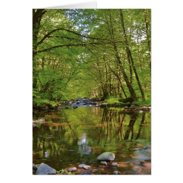 Landschap van Wilson River (Voorkant)