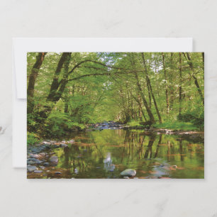 Landschap van Wilson River Bedankkaart