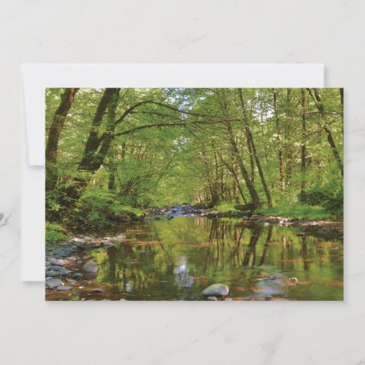 Landschap van Wilson River Bedankkaart (Voorkant)
