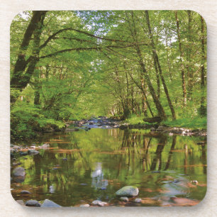 Landschap van Wilson River Bier Onderzetter