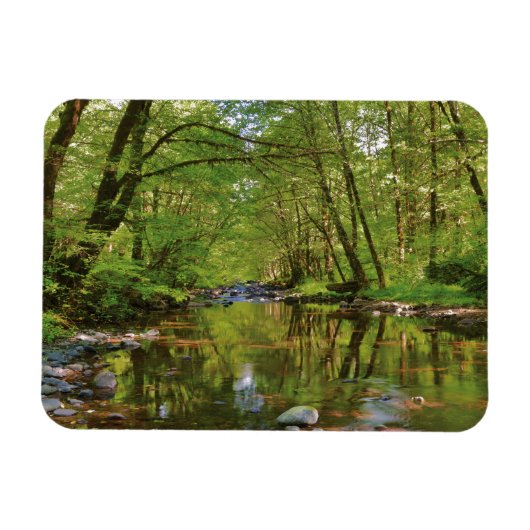 Landschap van Wilson River Magneet (Horizontaal)