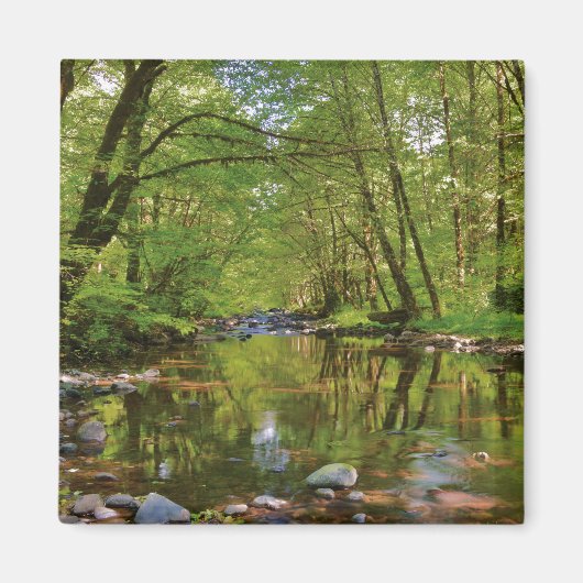 Landschap van Wilson River Magneet (Voorkant)