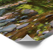 Landschap van Wilson River Poster (Hoek)