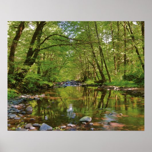 Landschap van Wilson River Poster (Voorkant)
