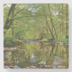 Landschap van Wilson River Stenen Onderzetter