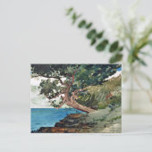 Landschap Winslow Homer van de Bermuda Ocean Briefkaart (Staand voorkant)