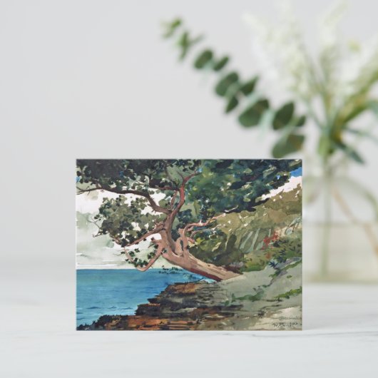 Landschap Winslow Homer van de Bermuda Ocean Briefkaart (Staand voorkant)