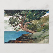 Landschap Winslow Homer van de Bermuda Ocean Briefkaart (Voorkant)