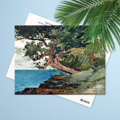 Landschap Winslow Homer van de Bermuda Ocean Briefkaart