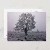 Landschap winterboom briefkaart (Voorkant / Achterkant)