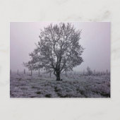 Landschap winterboom briefkaart (Voorkant)