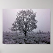 Landschap winterboom poster (Voorkant)