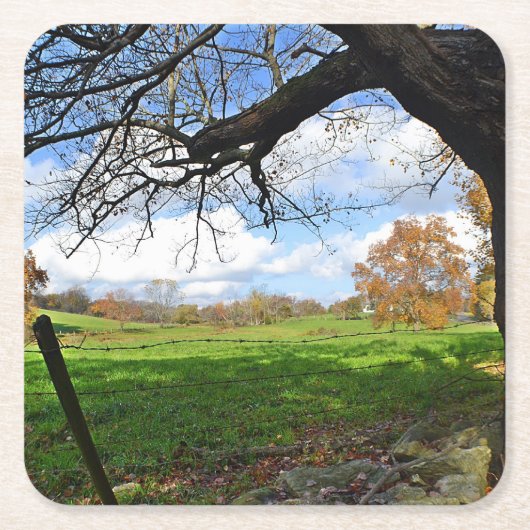 Landschap Woodstock Onderzetter (Voorkant)