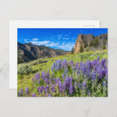 Landschap Yellowstone National Park Wildbloemen Briefkaart (Voorkant / Achterkant)