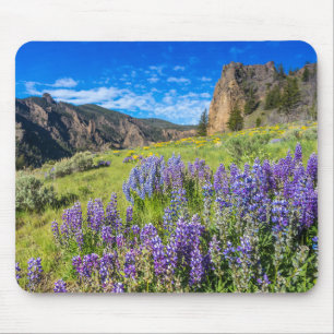 Landschap Yellowstone National Park Wildbloemen Muismat