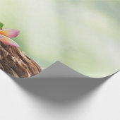 Landschap, Zen stenen, bloemen Cadeaupapier (Hoek)