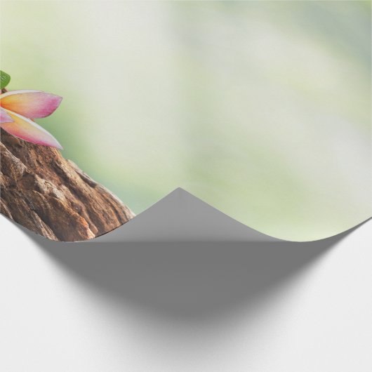 Landschap, Zen Stones, Flowers Cadeaupapier (Hoek)