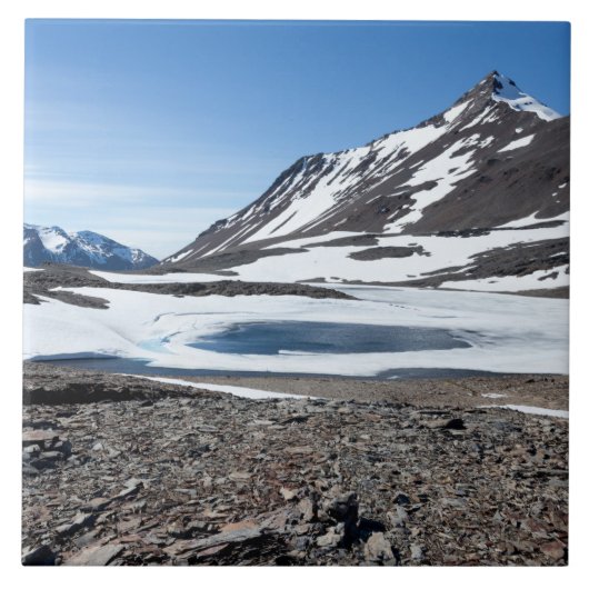 Landschap Zuid-Georgië Tegeltje (Voorkant)