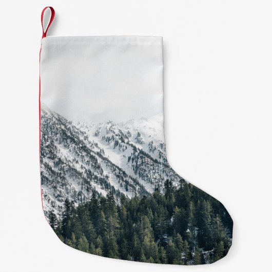 LANDSCHAPE FOTOGRAFIE VAN BOMEN KLEINE KERSTSOK (Voorkant)