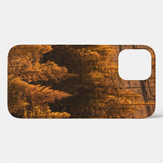 LANDSCHAPE FOTOGRAFIE VAN BROWN-LEFED TREKKEN Case-Mate iPhone CASE (Achterkant (horizontaal))
