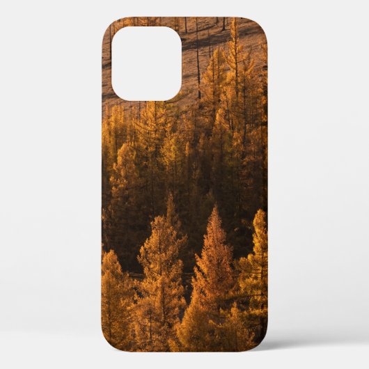 LANDSCHAPE FOTOGRAFIE VAN BROWN-LEFED TREKKEN Case-Mate iPhone CASE (Achterkant)