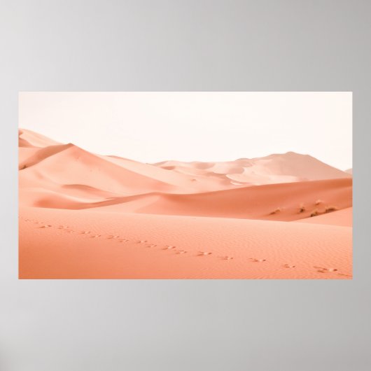 LANDSCHAPE FOTOGRAFIE VAN HET DESSERT POSTER (Voorkant)
