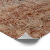 LANDSCHAPE FOTOGRAFIE VAN MOUNTAIN POSTER (Hoek)