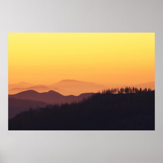 LANDSCHAPENFOTO VAN HET BOSBOUW TIJDENS GOLDEN UUR POSTER (Voorkant)