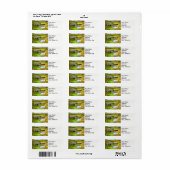 Landschappen boerderij met  zonder silo. etiket (Full Sheet)