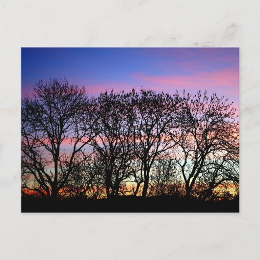 Landschappen Briefkaart (Voorkant)