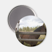 LANDSCHAPPEN MAGNEET (Voorkant / Achterkant)