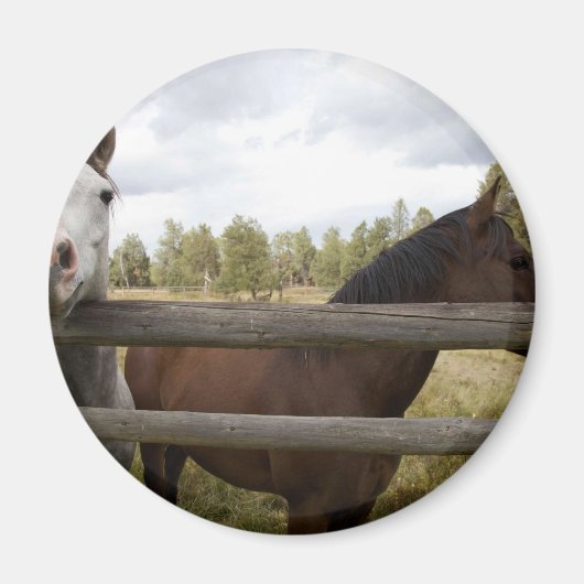 LANDSCHAPPEN MAGNEET (Voorkant)