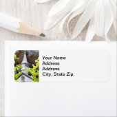 Landschappen op het platteland en de kerk van schi etiket (Insitu)