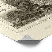 Landschappen Poster (Hoek)