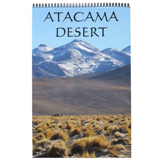 landschappen van de Atacamawoestijn Kalender (Hoes)