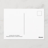 Landschappen van het briefkaart Cyprus (Achterkant)