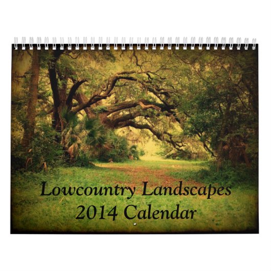 Landschappen van het Lagerland 2014 Kalender (Hoes)