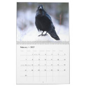 Landschaps- en wildlife foto's kalender (Feb 2027)