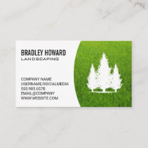 Landschapsarchitectuur | Gazon en Hoge Bomen